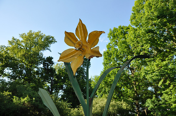 DSC_0208