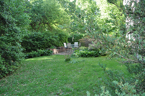 DSC_0084