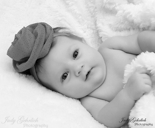 20141204-bw0109
