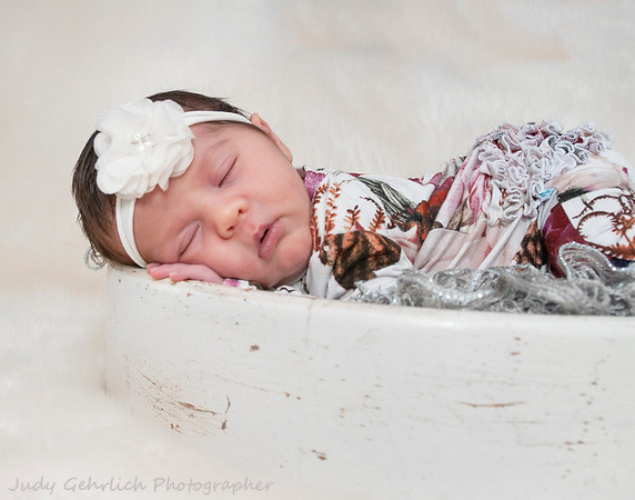 DSC_3907-Edit-1